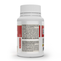 Acanthopanax Vitafor - 90 cápsulas Acanthopanax Vitafor - 90 cápsulas
