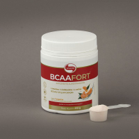BCAA Fort Tangerina Vitafor - 210g BCAA Fort Tangerina Vitafor - 210g