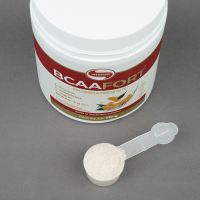 BCAA Fort Tangerina Vitafor - 210g BCAA Fort Tangerina Vitafor - 210g