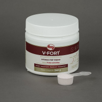 V - Fort Frutas Vermelhas Vitafor - 240g
